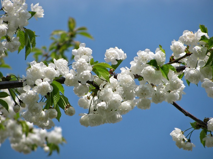 Herformuleren Dosering embargo Overzicht seizoensgroenten en fruit lente - Mind Your Feed