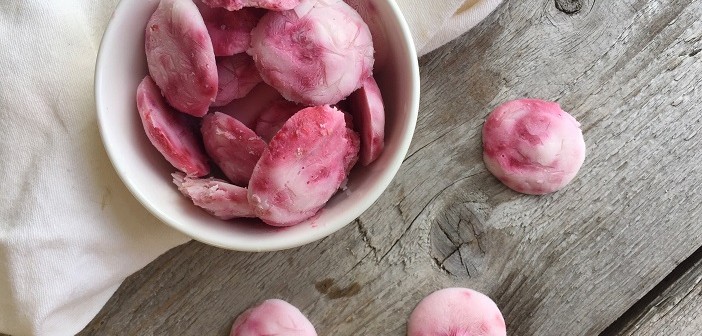 frozen yoghurt snoepjes