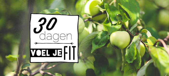 30voeljefit challenge