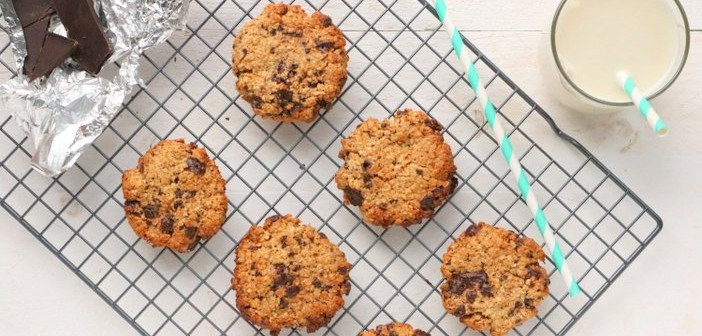 havermout koekjes pindakaas en chocola (1)
