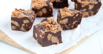 Sinterklaas recepten voor een heerlijke pakjesavond kruidnoten pure chocolade fudge