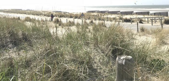 foto diary april 2018