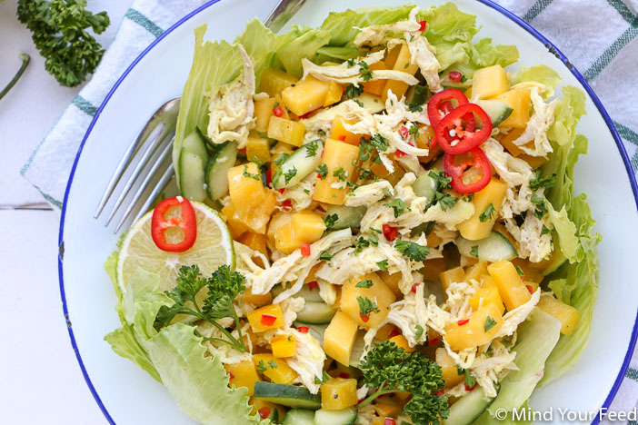 Oosterse kip mango salade