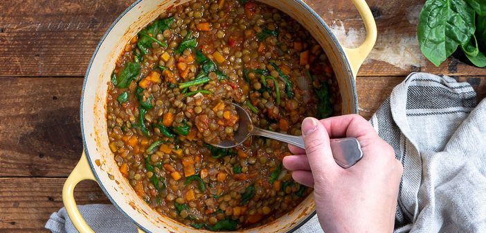 linzen stoofpot, vegetarische stoofpot recept, stoofgerecht zonder vlees, vegetarische stoofschotel met linzen,