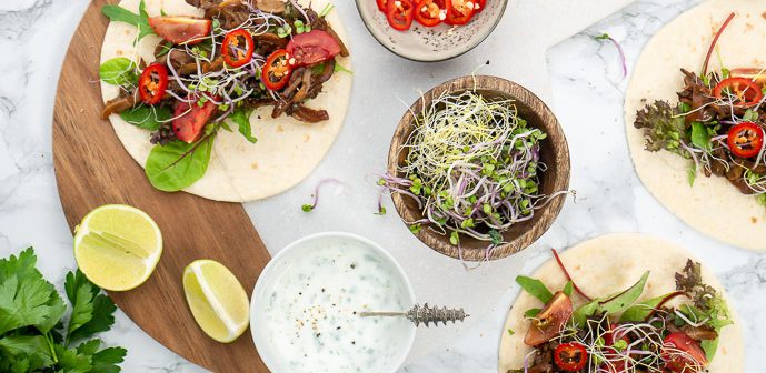 pulled champignons, pulled mushroom, pulled vega, pulled veggie