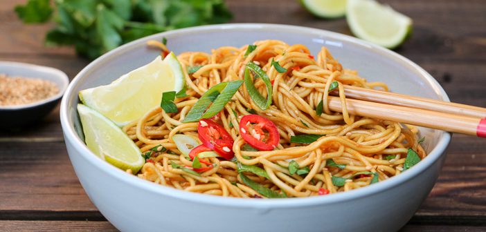 hoisin noedels, noodles met hoisin saus, makkelijk recept voor vegetarische noedels met licht pittige hoisin saus