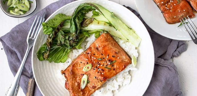 Zalm teriyaki recept, zelf teriyakisaus maken, teriyaki saus, wilde zalm, zalm uit Alaska