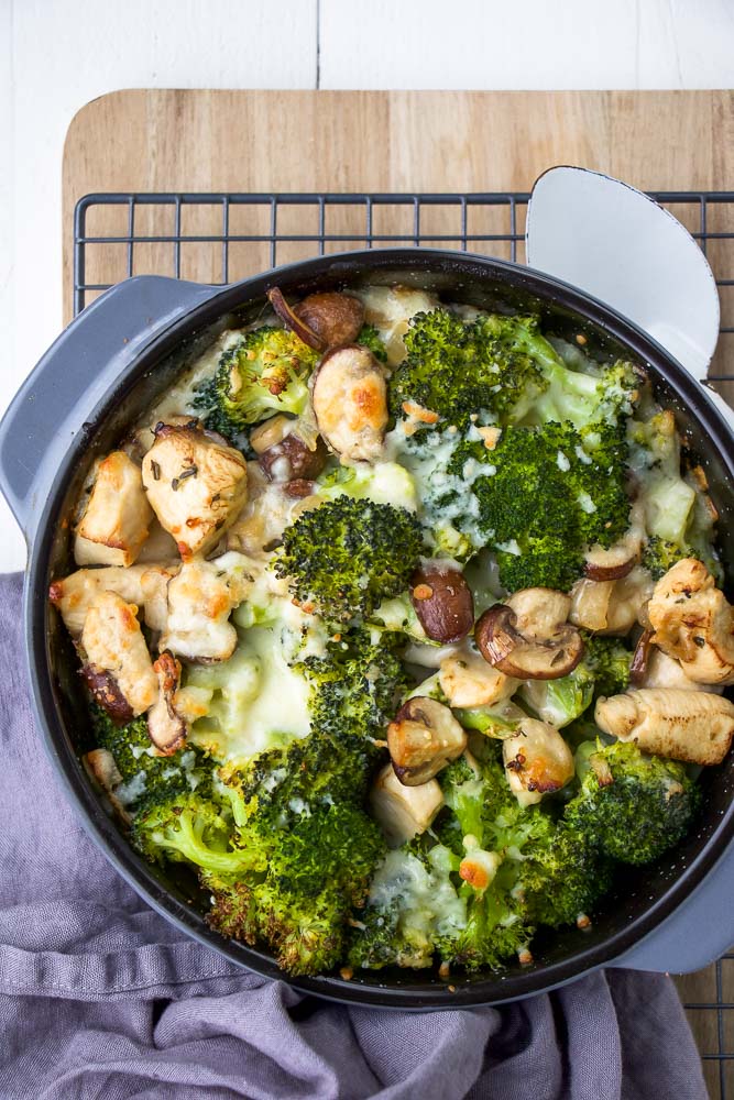 ovenschotel met broccoli, kip en champignons, snelle ovenschotel, broccoli recept