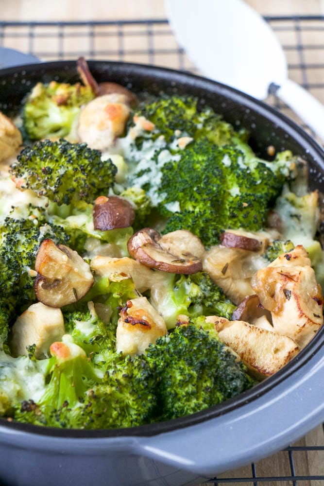 ovenschotel met broccoli, kip en champignons, snelle ovenschotel, broccoli recept