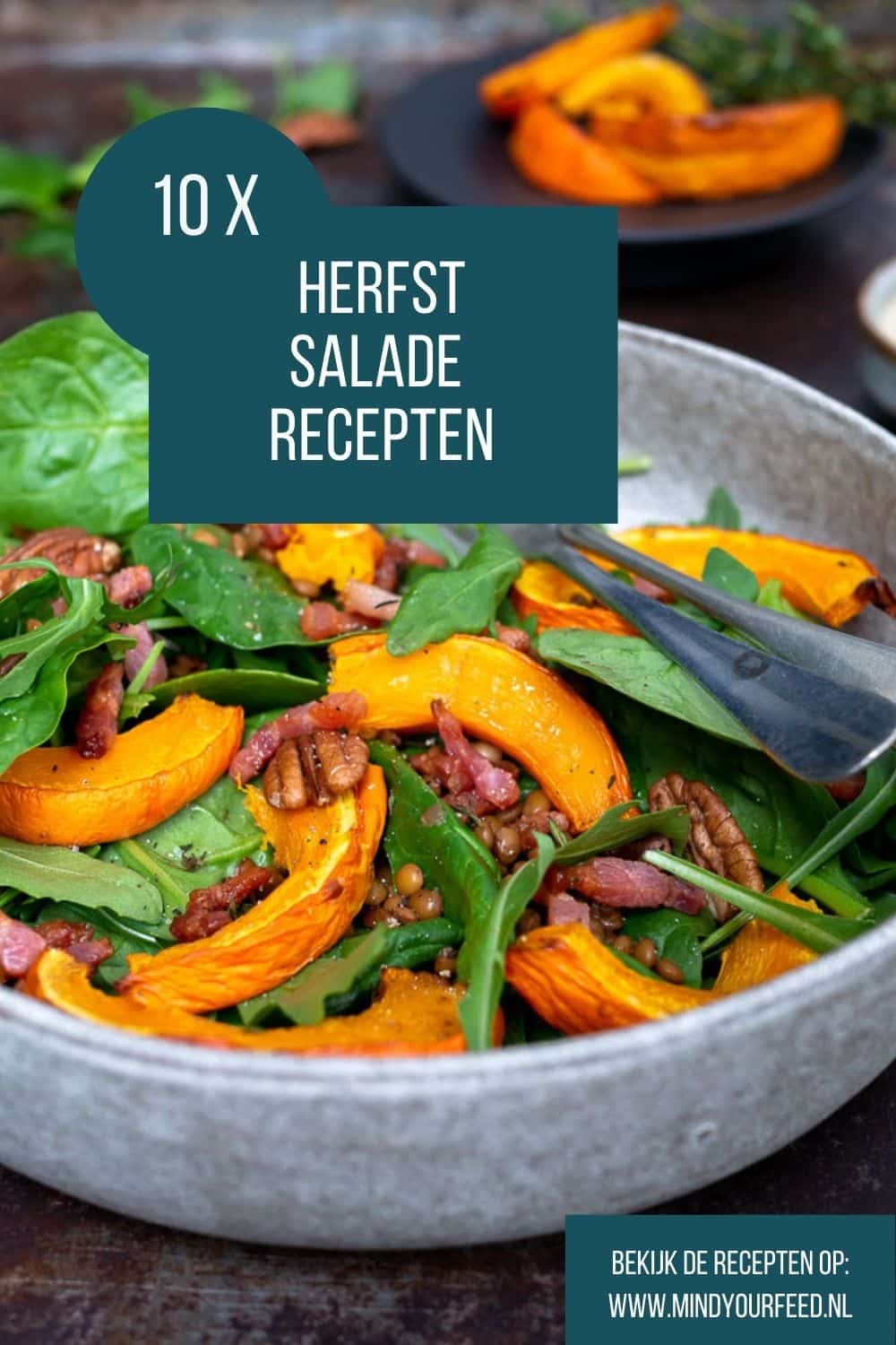 herfstsalade recepten, herfst salade recepten