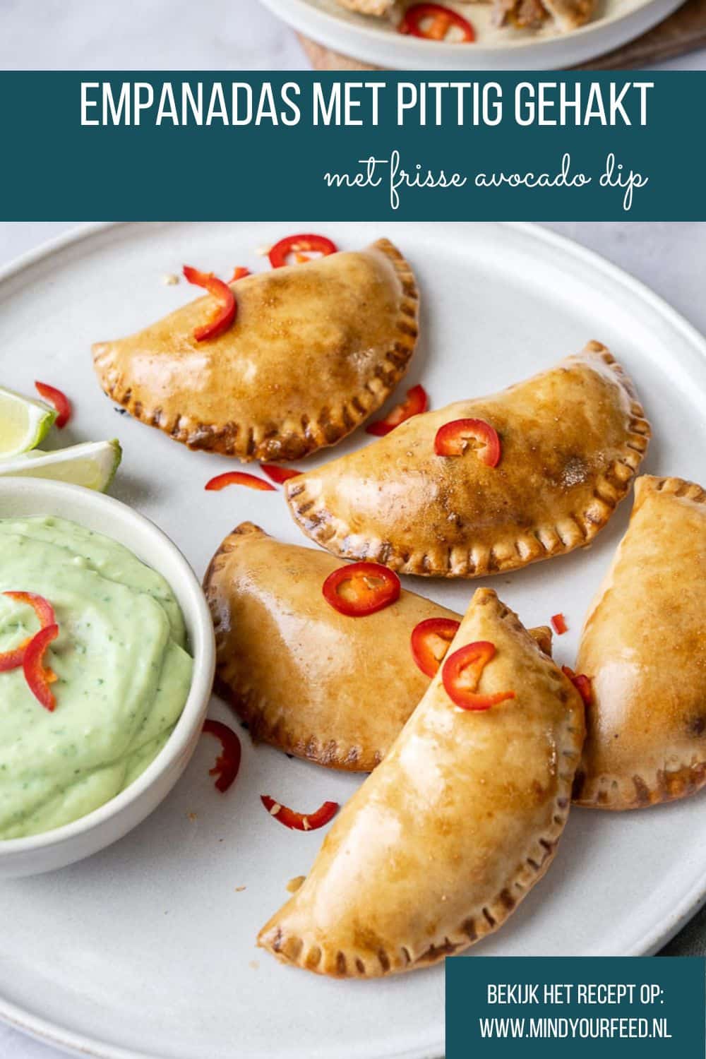 empanadas met gehakt, empanada, gevulde empanada met pittig gehakt, gekruid gehakt, avocado dip