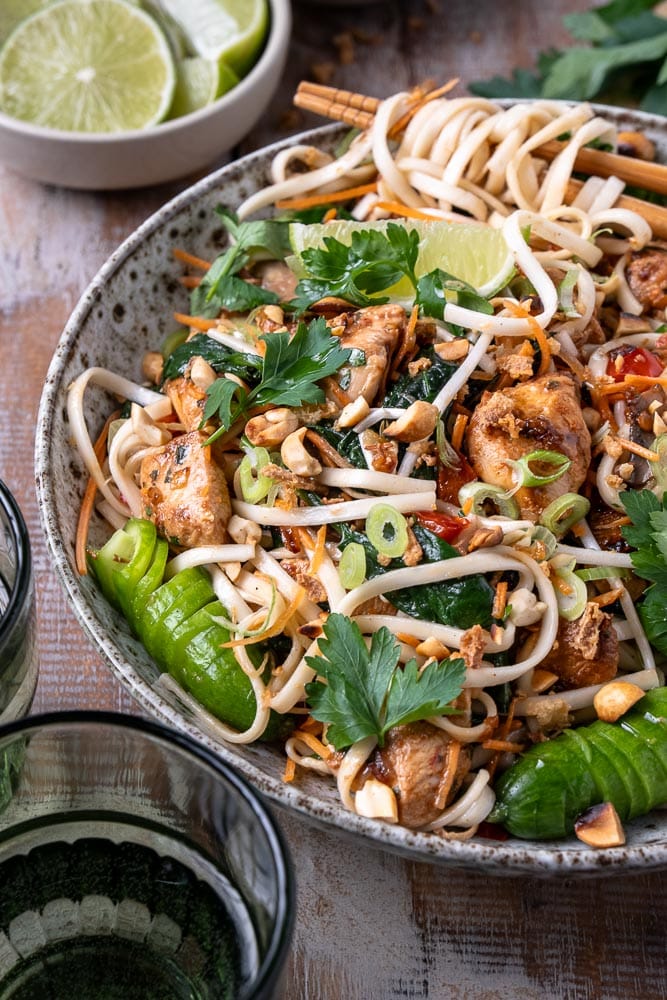 Noedels met kip en groenten, een lekker en makkelijk recept uit de Aziatische keuken van roerbak noodles of noedels met kip in Oosterse marinade met verschillende roerbakgroenten zoals wortel, spinazie, paprika en tauge in een kruidige Hoisin saus. 