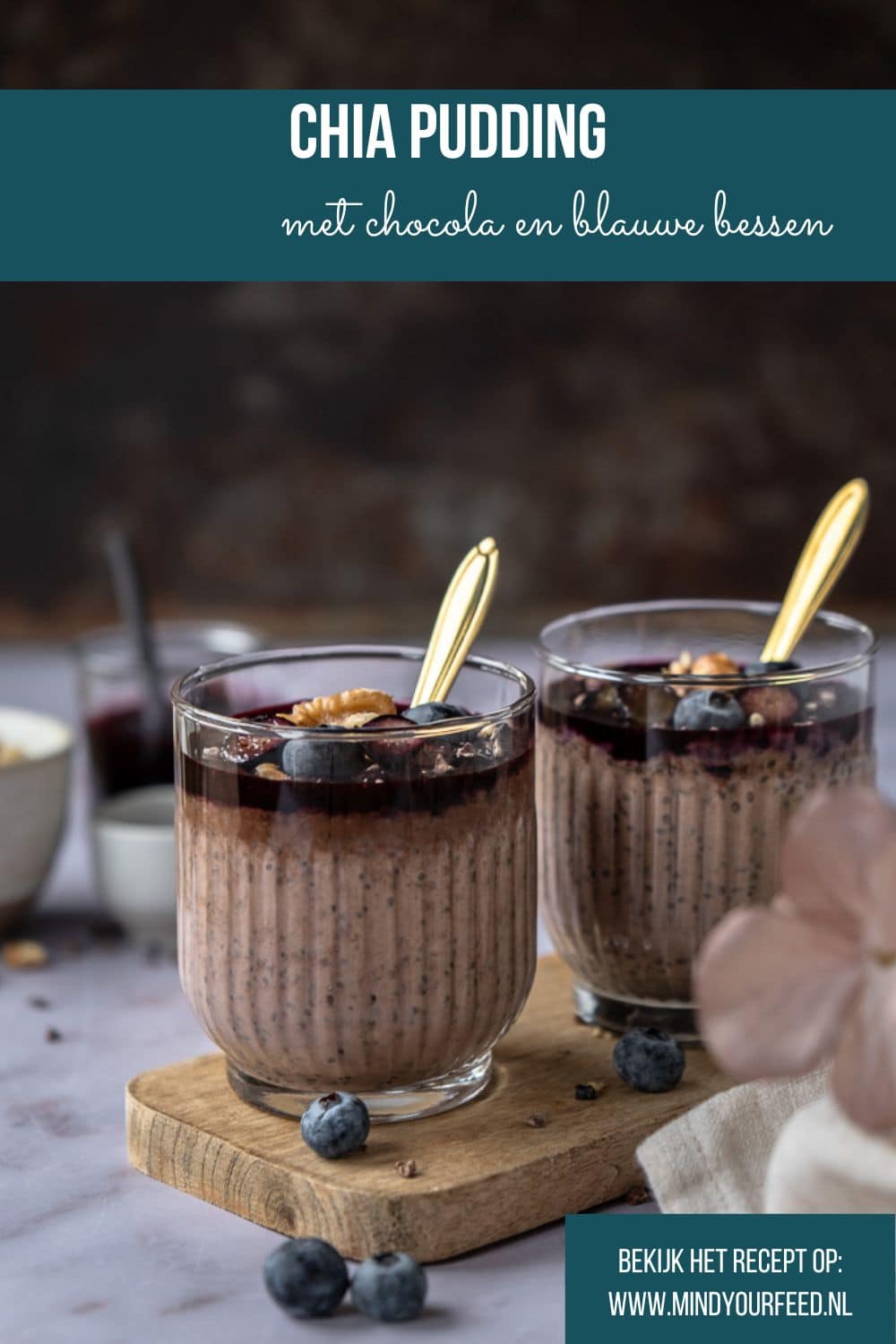 Chia pudding recept: voedzaam, romig en helemaal naar jouw smaak. Maak deze overnight chia pudding met cacaopoeder, blauwe bessen en walnoten en start je dag gezond. Bewaar dit chia pudding recept voor later!